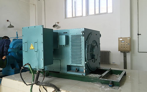 Y4509-4/900KW某水电站工程主水泵使用我公司高压电机