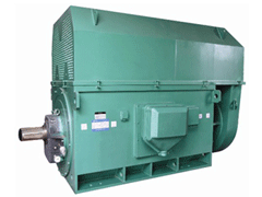 Y4509-4/900KWY系列6KV高压电机