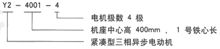 YR系列(H355-1000)高压Y4509-4/900KW三相异步电机西安西玛电机型号说明